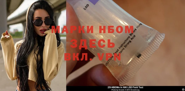 шишки Алзамай