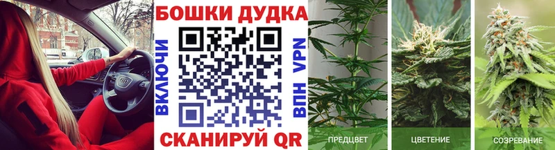 Конопля OG Kush  Кемь 